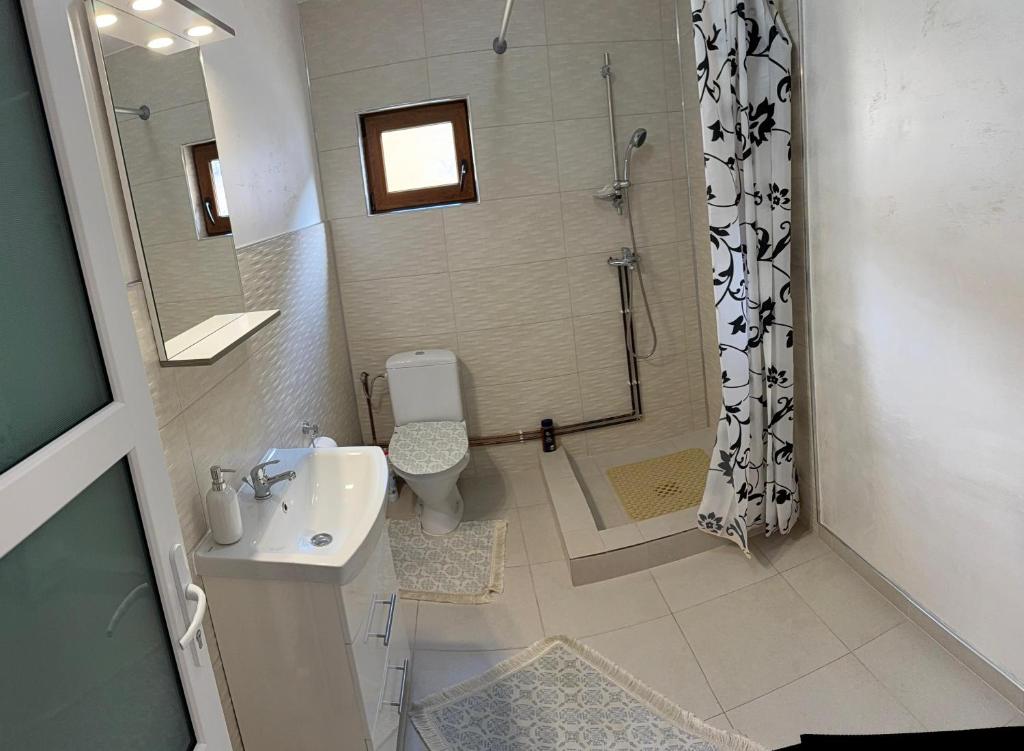 Koupelna v ubytování Casa Daria
