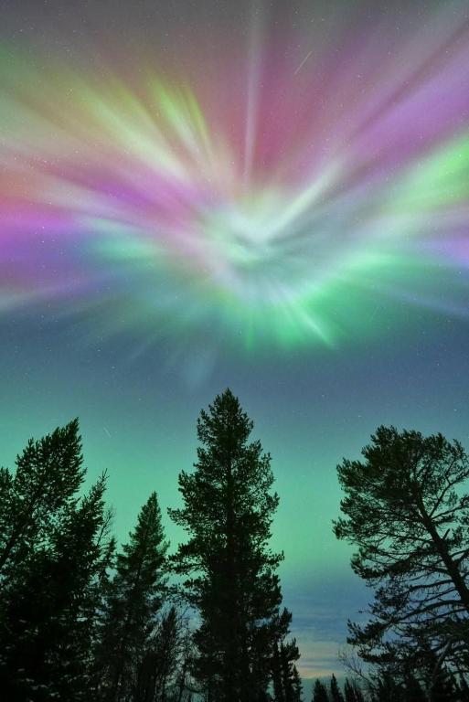 Fotografie z fotogalerie ubytování SKOG Aurora igloos v destinaci Kalix