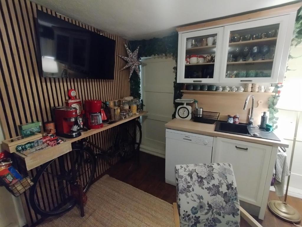 Kuchyň nebo kuchyňský kout v ubytování Honey house Lika