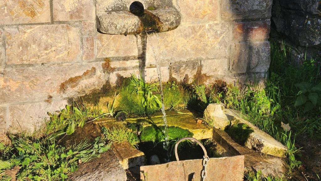 Vonkajšia záhrada v ubytovaní Casa rural Salomé, Mora de Luna, al lado del río Luna