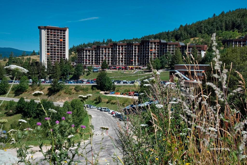 - une vue sur une ville avec de grands bâtiments et des fleurs dans l'établissement Superbe appartement de 66m2 aux pieds des pistes, à Villard-de-Lans