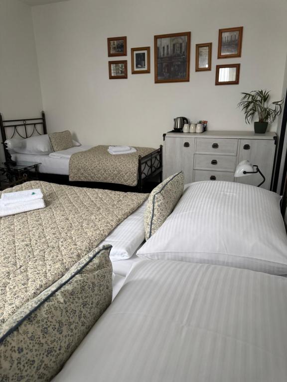 Pension U Draka - 14