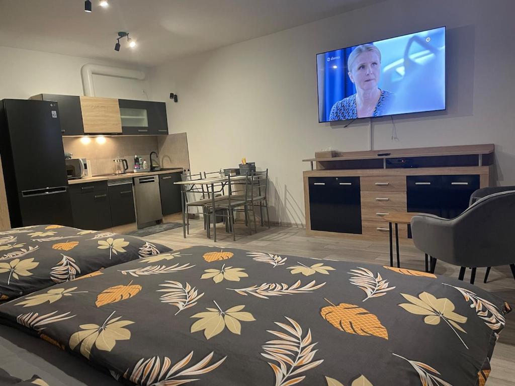 a living room with a bed and a flat screen tv at 1-room apartment center Rajecké Teplice in Rajecké Teplice