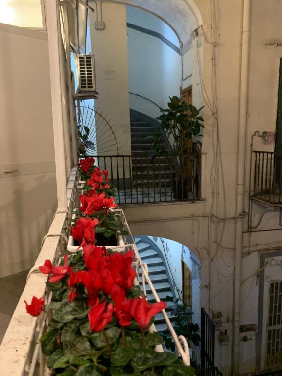 Fotografie z fotogalerie ubytování Casa Orlanda v Neapoli