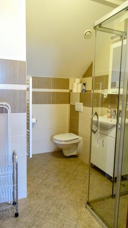 Koupelna v ubytování Apartmán Nesyt