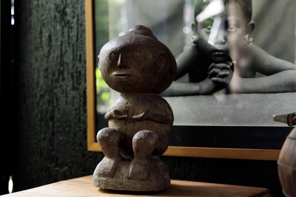 Fotografie z fotogalerie ubytování Sumba Lodge v destinaci Manuel Antonio