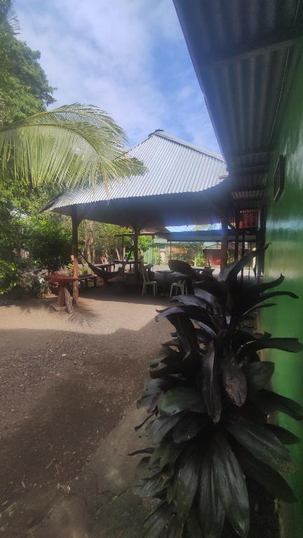 Landskap semula jadi dekat dengan rumah tamu ini