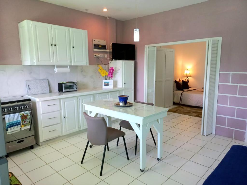 Dapur atau dapur kecil di Nested View- Spacious & quiet Apt 2 Nested Point Old Westerhall
