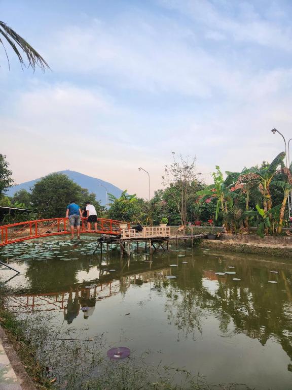Phong cảnh thiên nhiên gần nhà nghỉ trang trại