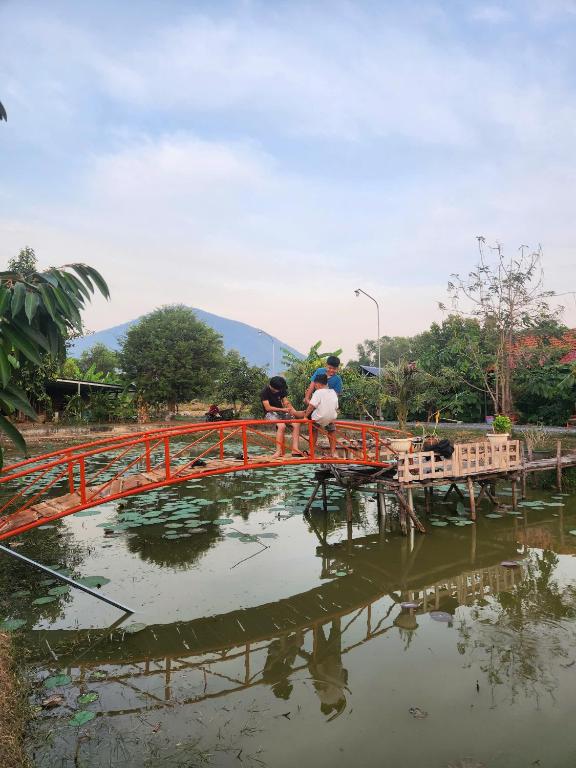 Phong cảnh thiên nhiên gần nhà nghỉ trang trại