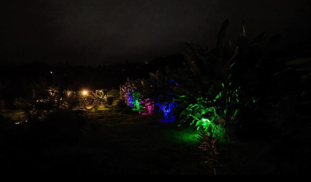 Zahrada ubytování Flora Glamping de Abuela