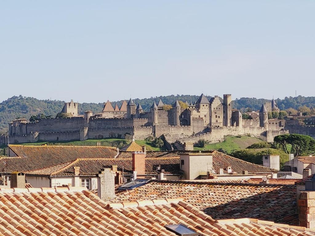 - une vue sur une ville avec un château en arrière-plan dans l'établissement Appartement vue panoramique, à Carcassonne