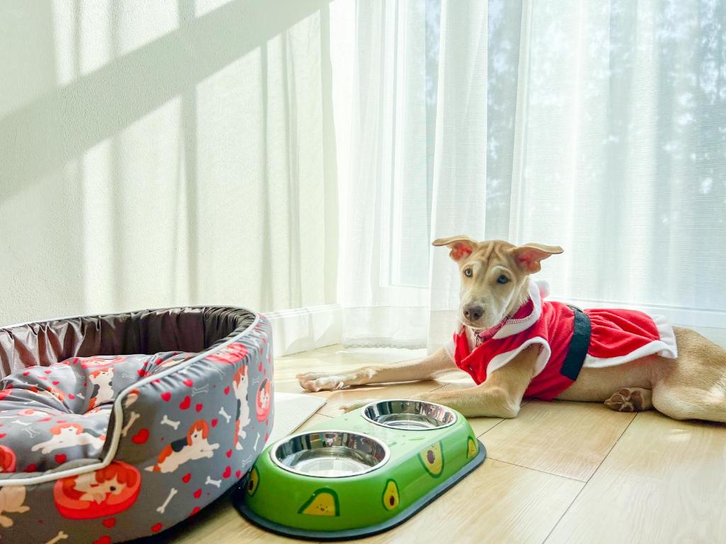 The Kaset, Hua Hin - Resim 22