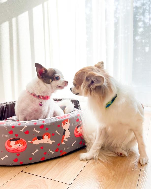 The Kaset, Hua Hin - Resim 21