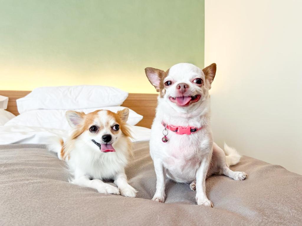 The Kaset, Hua Hin - Resim 20