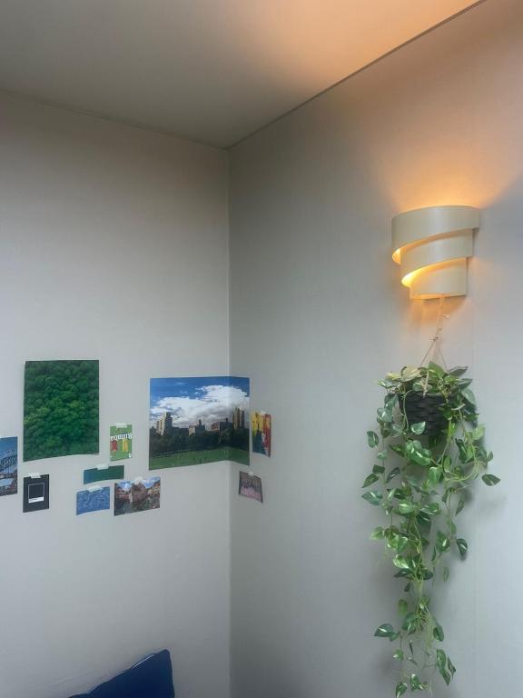 Fotografie z fotogalerie ubytování Lyndon Guesthouse v destinaci Čedžu