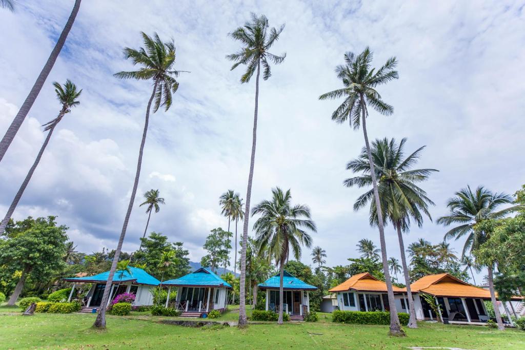 Zahrada ubytování the ocean resort samui