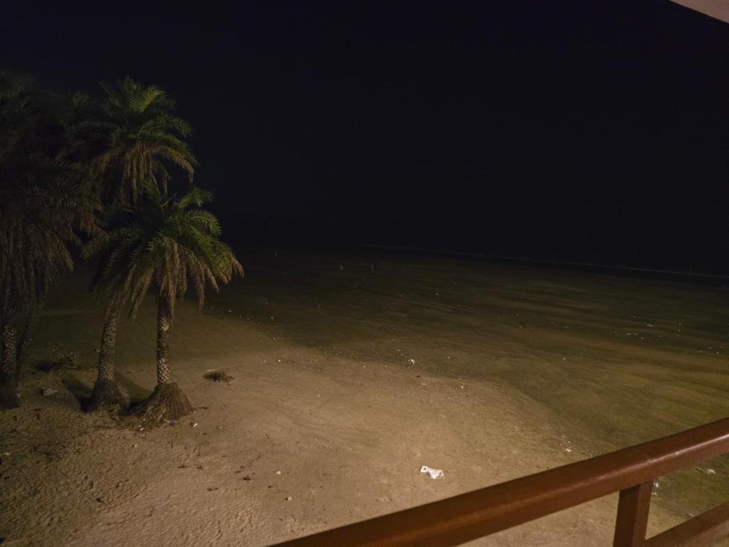 two palm trees on the beach at night at Ricardo Beach Resort in Mandarmoni