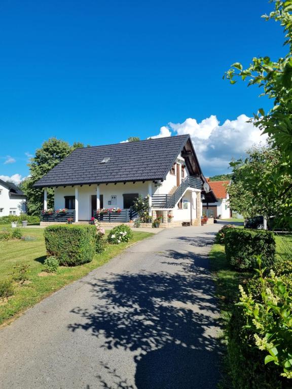 a house with a black roof on a road at Apartment Rosandić in Smoljanac