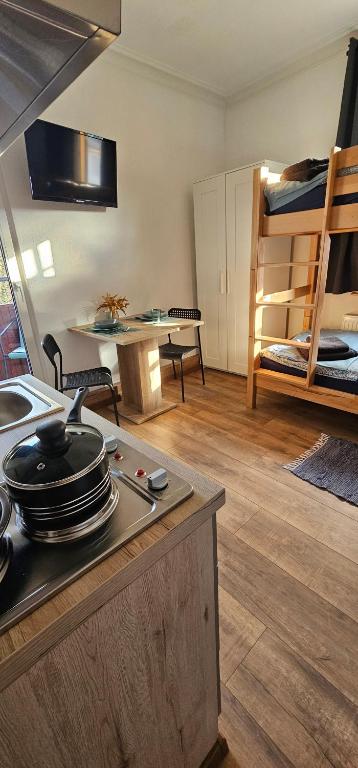 eine Küche und ein Wohnzimmer mit einem Herd und Etagenbetten in der Unterkunft Monteurzimmer mit Küche und Bad in Geislingen an der Steige
