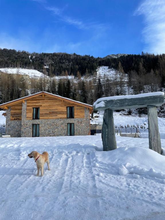 Sabbionaccio Apartments & Spa talvel