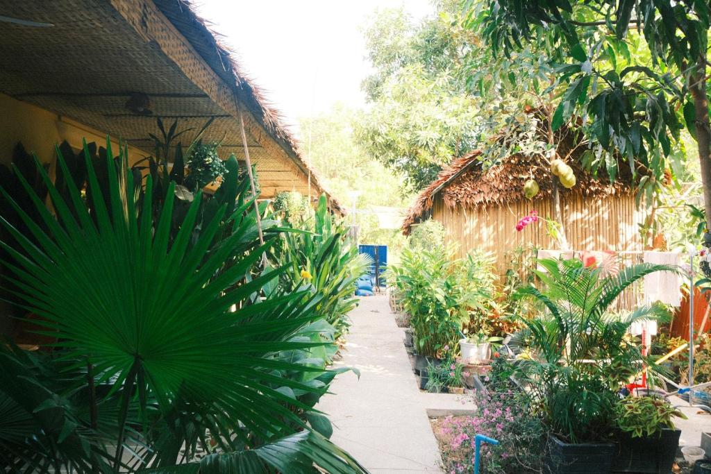 a garden with a bunch of plants next to a building at Siem Reap Homesteading II in Siem Reap