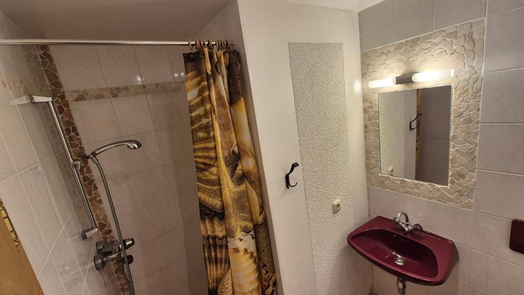 Kúpeľňa v ubytovaní Alina's DIY-Haus St.Jakob