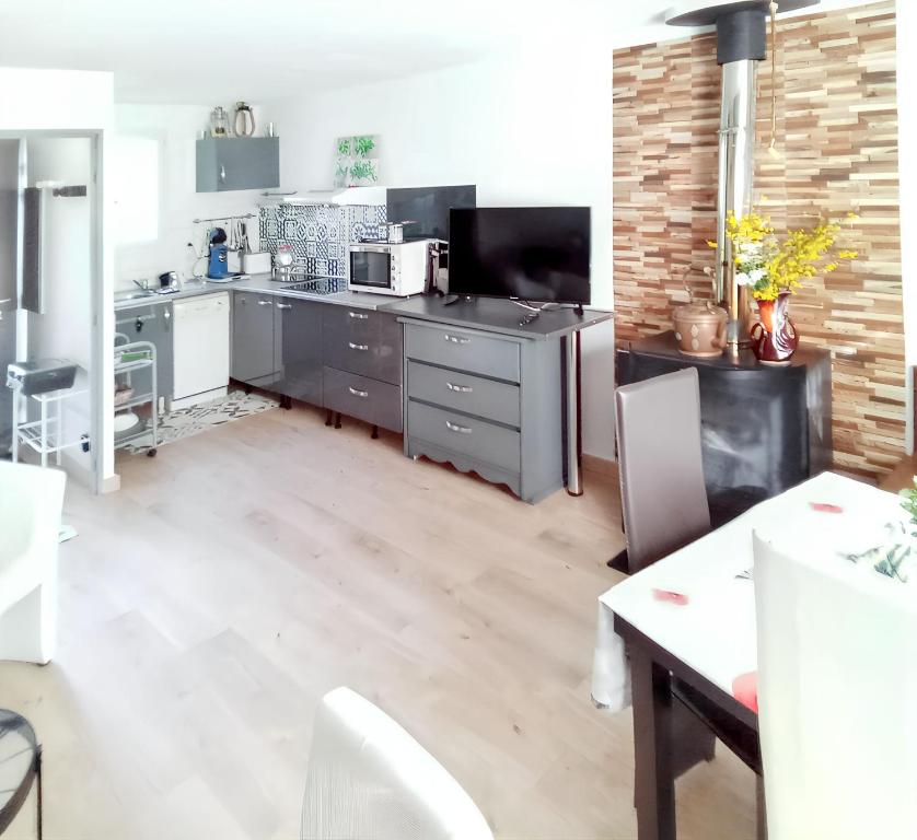 Kuchyňa alebo kuchynka v ubytovaní Chalet rustique à La Salvetat-sur-Agout avec vue montagne