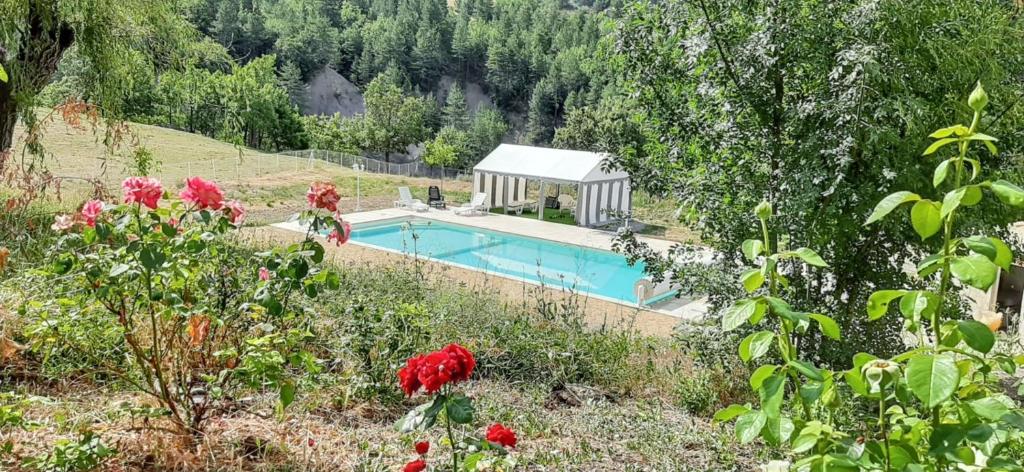 a swimming pool in a garden with red flowers at Villa charmante à Sisteron avec piscine privée in Sisteron