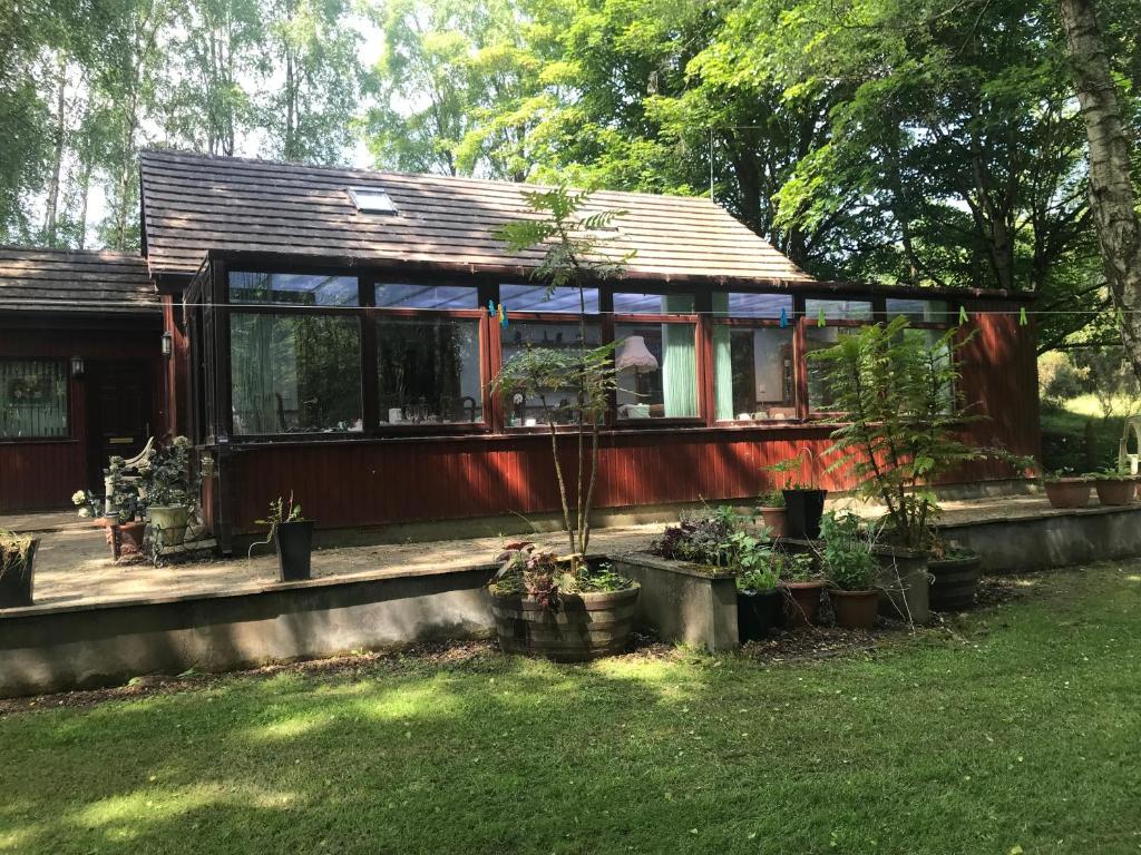 Taman di luar Pine Chalet