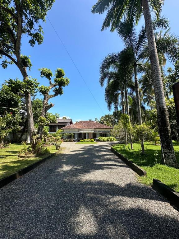 Zahrada ubytování Mango Tree Villa