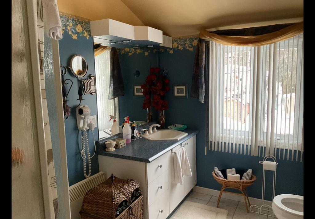Una cocina o cocineta en Gite du Lac Docteur