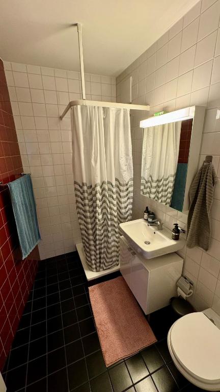 Penthouse 5 Room Duplex 3 Terraces, Near Center and Rhine - Resim 7