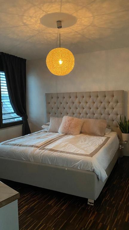 Penthouse 5 Room Duplex 3 Terraces, Near Center and Rhine - Resim 6