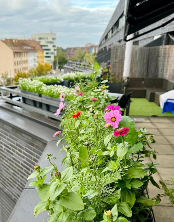 Penthouse 5 Room Duplex 3 Terraces, Near Center and Rhine - Resim 13