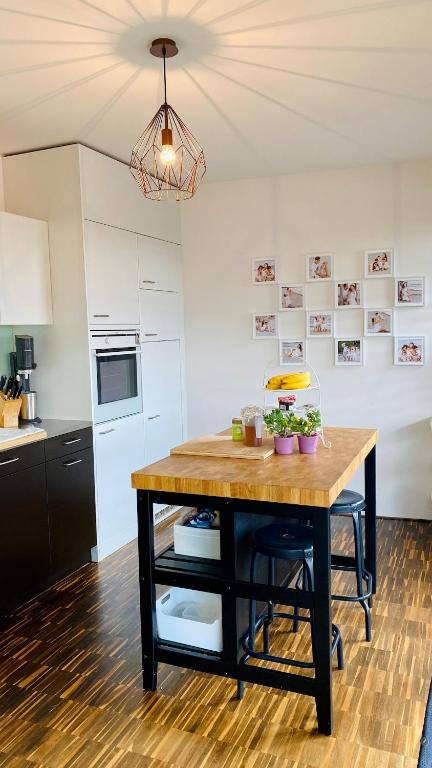 Penthouse 5 Room Duplex 3 Terraces, Near Center and Rhine - Resim 8