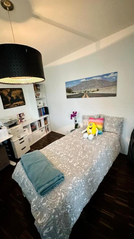 Penthouse 5 Room Duplex 3 Terraces, Near Center and Rhine - Resim 17