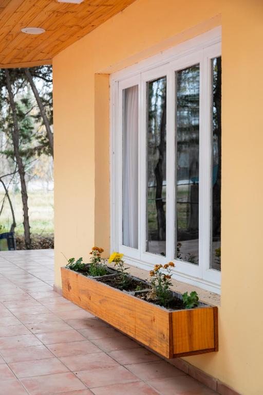 Los Nogales de Tatash