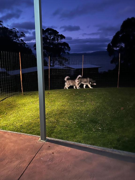 Fotografie z fotogalerie ubytování South Bruny Island Retreat v destinaci Lunawanna