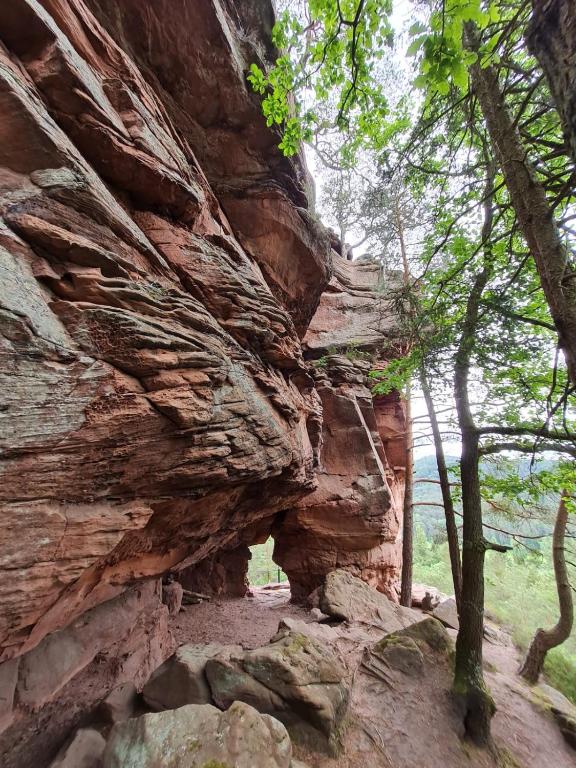 a cave in the side of a rock cliff at Fels- und Seenland in Ludwigswinkel