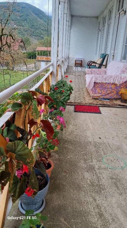 Zahrada ubytování Guest House Balda