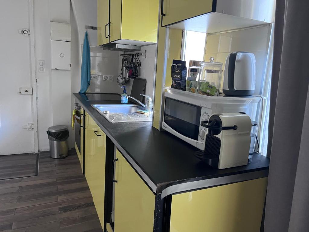 une cuisine avec un évier et un micro-ondes sur un comptoir dans l'établissement Paris Saint-Paul, à Paris