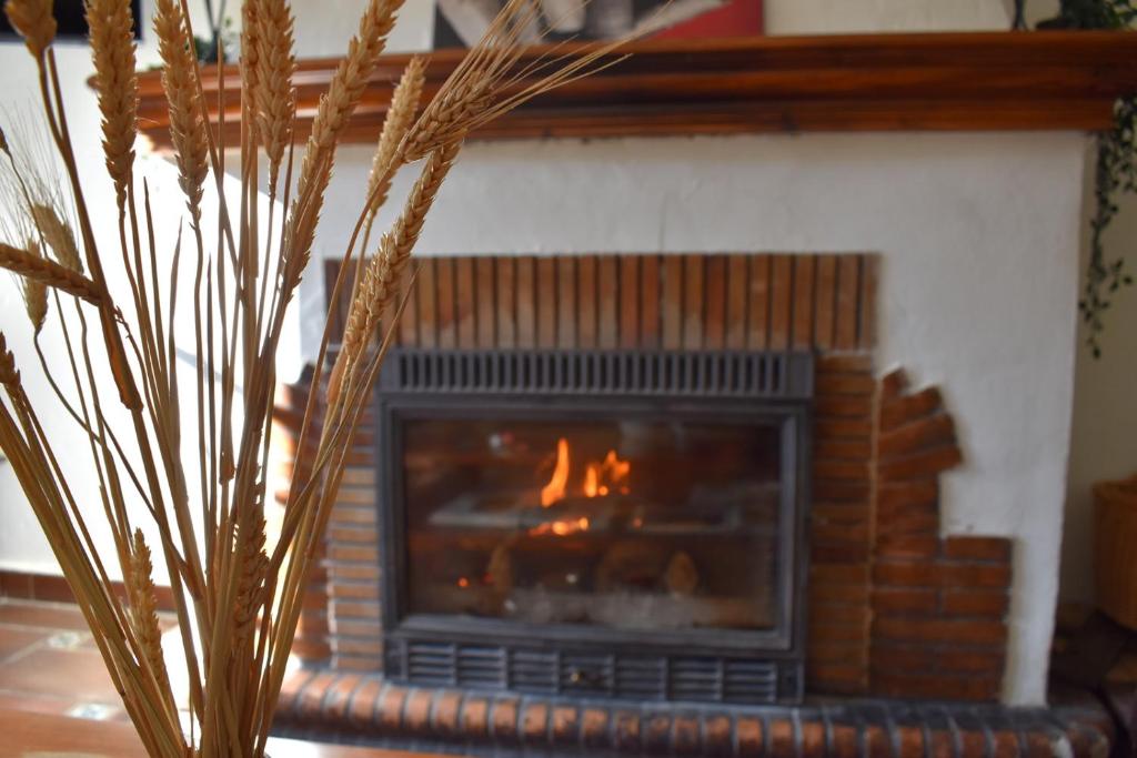 Hotel Humaina - Resim 34