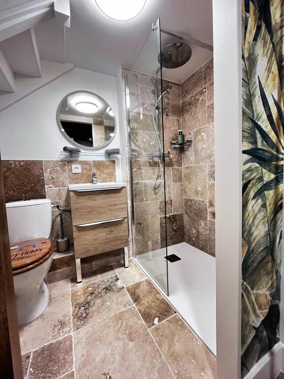 a bathroom with a shower and a toilet at Studio Duplex le Jungle - Bourgoin Centre in Bourgoin