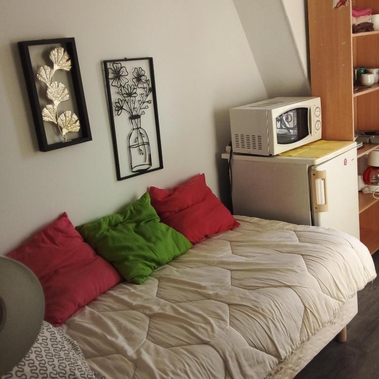 - une chambre avec un lit doté d'oreillers rouges et verts dans l'établissement STUDIO ST MICHEL, à Paris