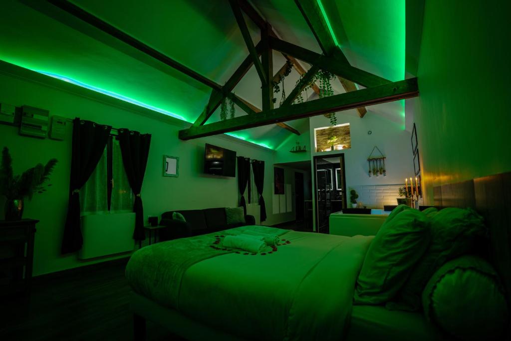 a green room with a bed and a couch at La suite BLR in Villemandeur