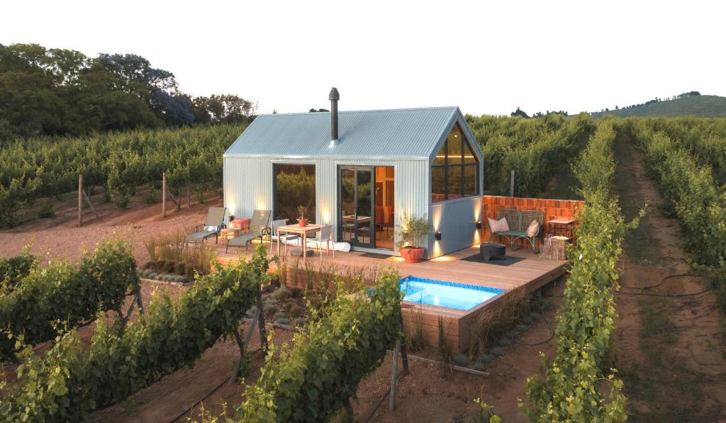 a small house in a vineyard with a pool at Stellenbosch Farm Cabin - Klein Frans in Stellenbosch