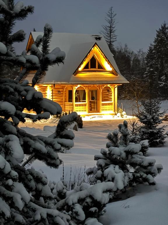une cabane en rondins dans la neige avec des lumières dans l'établissement Luxury chalet WRÓBLOWA CHAŁUPKA przy Dolinie Chochołowskiej, à Kościelisko