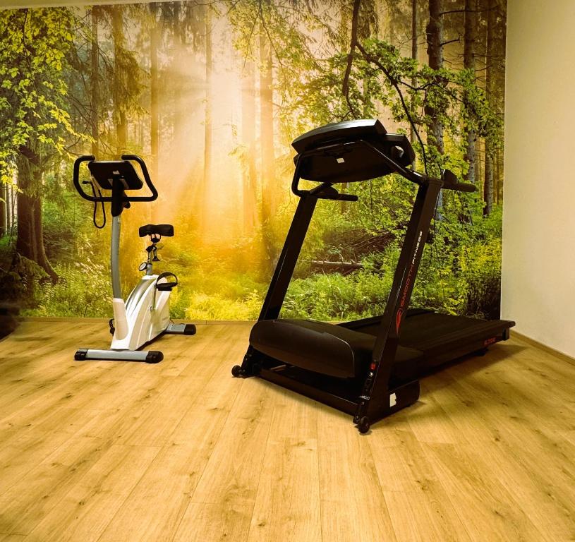 Fitness centrum a/nebo fitness zařízení v ubytování Der Marienhof Hotel Garni