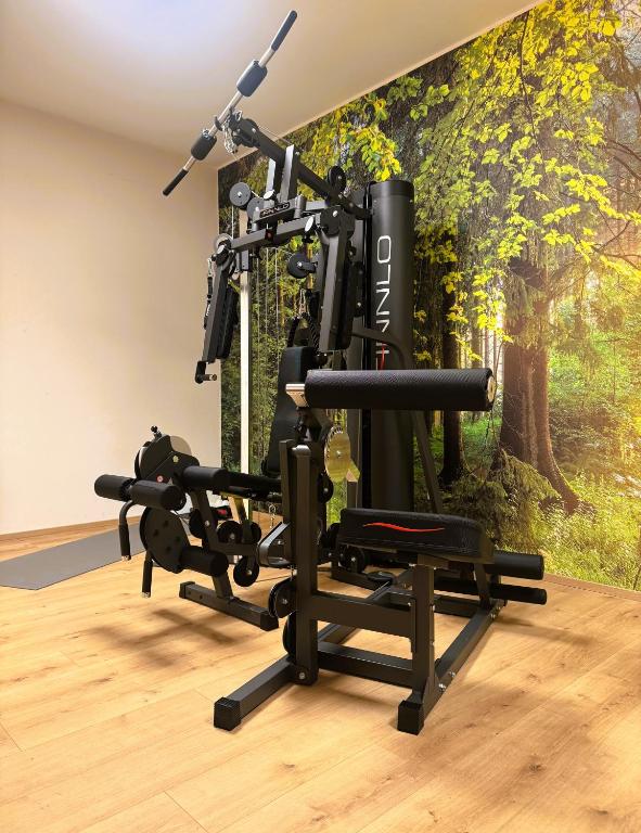 Fitness centrum a/nebo fitness zařízení v ubytování Der Marienhof Hotel Garni